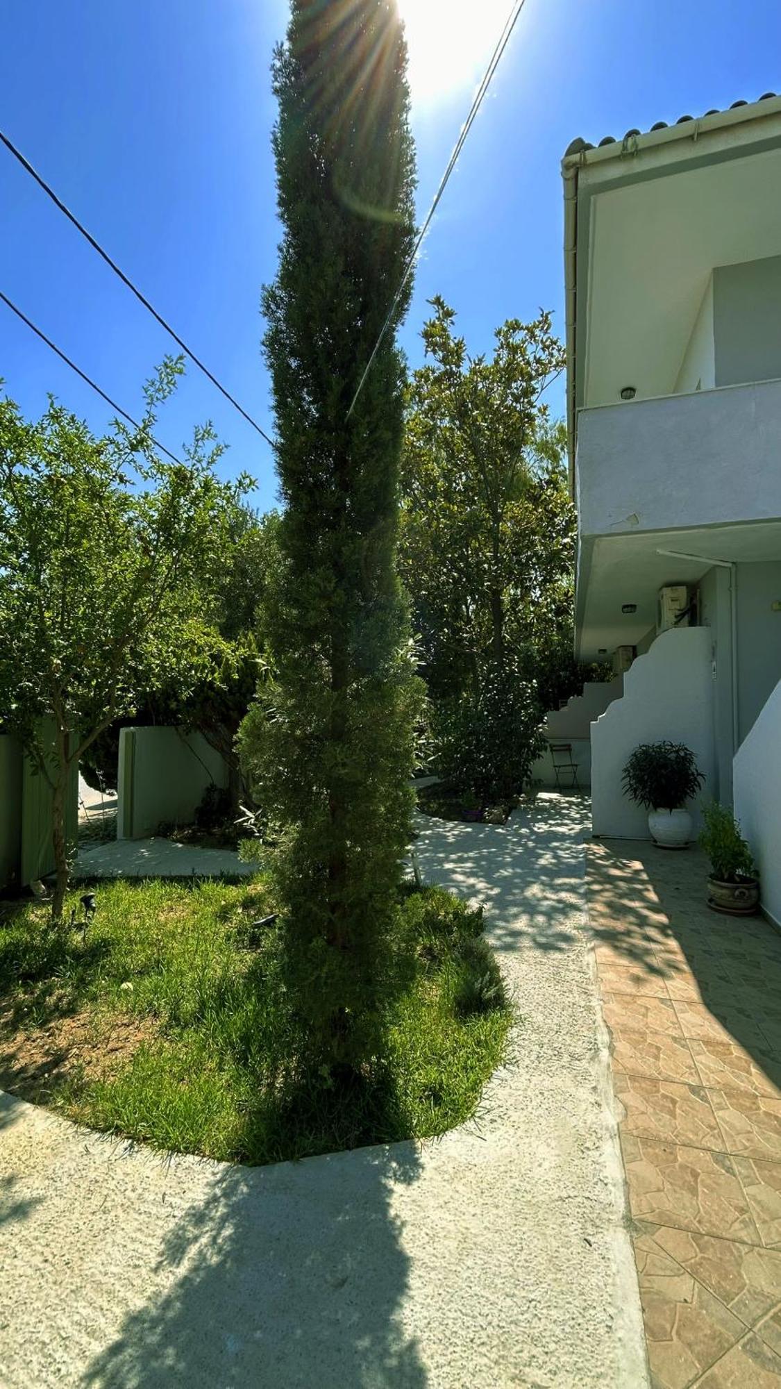 شقة Anthonas House نيكيتي المظهر الخارجي الصورة